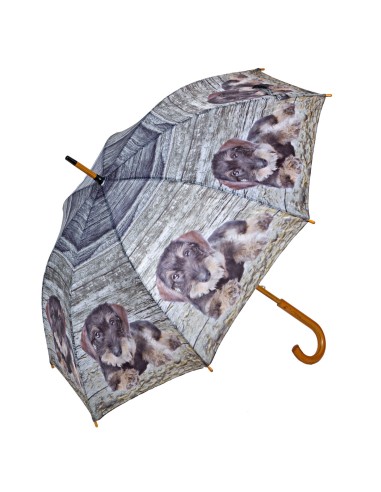 Parapluie motif teckel