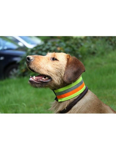 Collier de sécurité réfléchissant pour chien