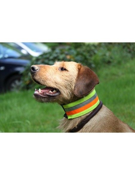 Collier de sécurité réfléchissant pour chien