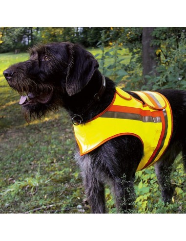 Gilet de signalisation pour grands chiens d'arrêt