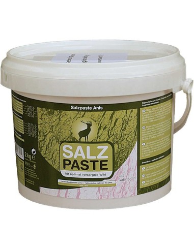 Seau de pâte de sel 2kg arôme anis DEUSA