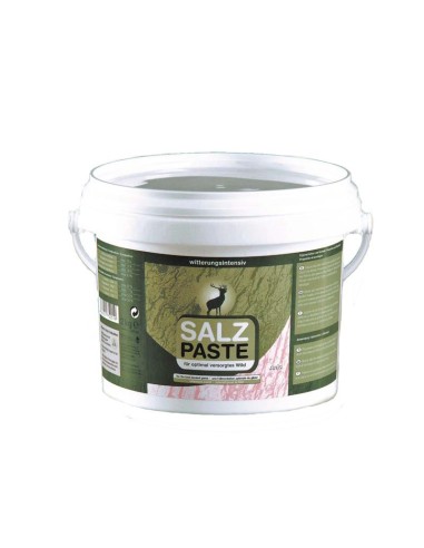 Seau de pâte de sel 2kg Pomme DEUSA