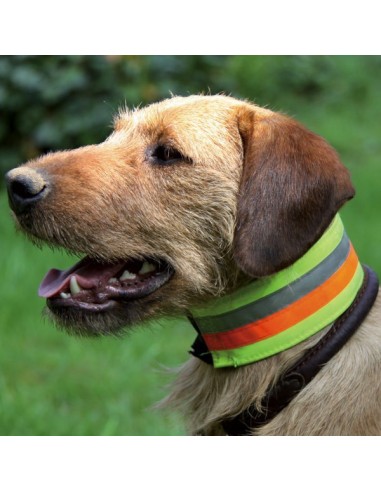 Collier de sécurité réfléchissant pour chien