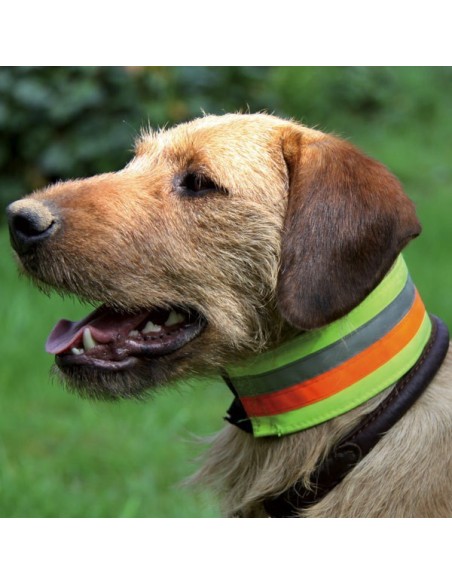 Collier de sécurité réfléchissant pour chien