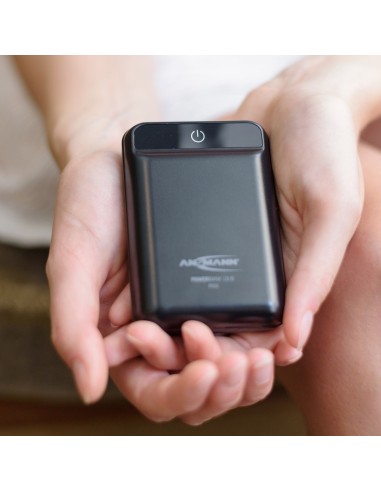 Batterie Powerbank 10.8 Mini 10Ah
