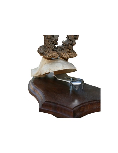 Pince pour trophée WEGU