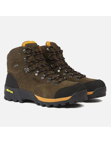 Chaussure de marche AIGLE ALTAVIO GTX Basse