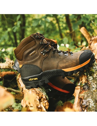 Chaussure de marche AIGLE ALTAVIO GTX Basse