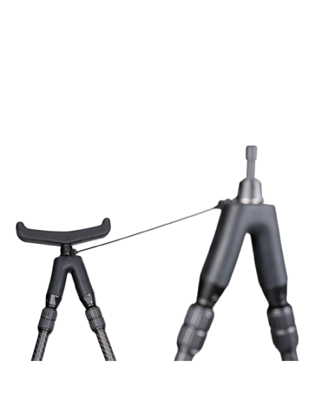 Canne de pirsch SPARTAN SPRINGBOK