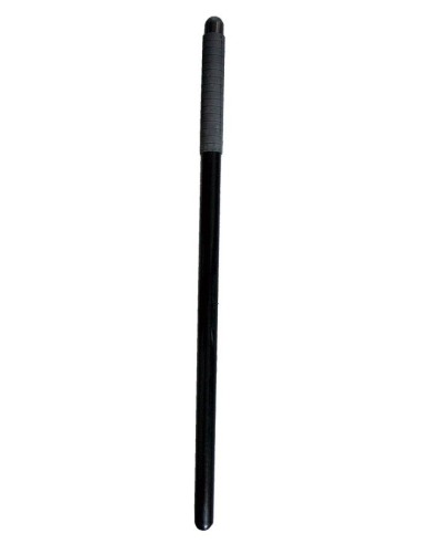 Baton de defense pour l'entrainement