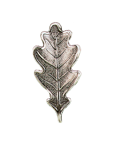 Cône pour poils 4,8 cm diam. 12 mm