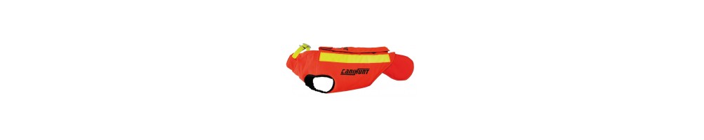 Accessoires chien