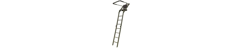 Mirador