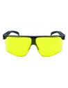 Lunettes